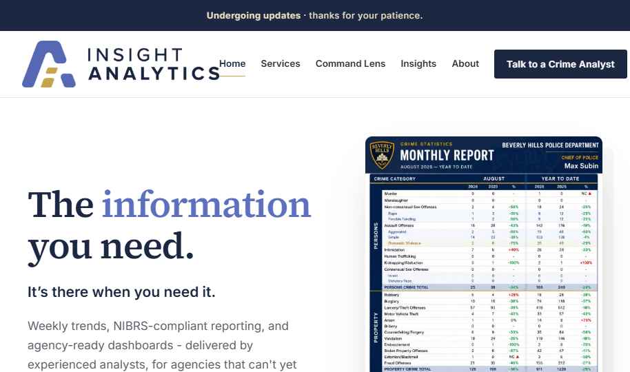 The Insight Analytics homepage